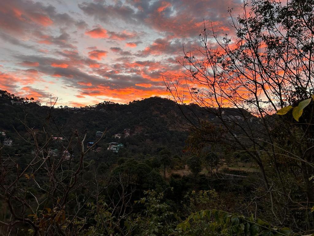 Idyllic Private Cottage W/King Bed + Mountain View Kasauli Buitenkant foto