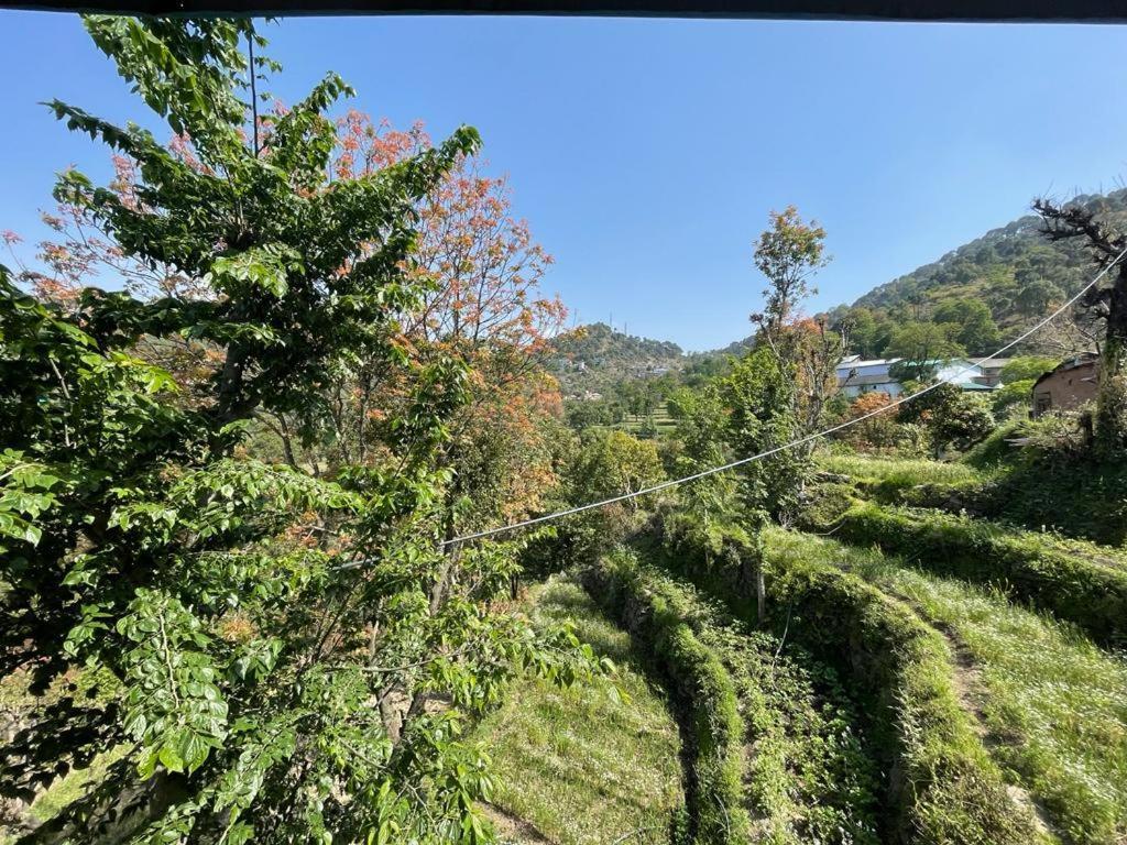 Idyllic Private Cottage W/King Bed + Mountain View Kasauli Buitenkant foto